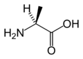 L-Alanine (Ala / A)