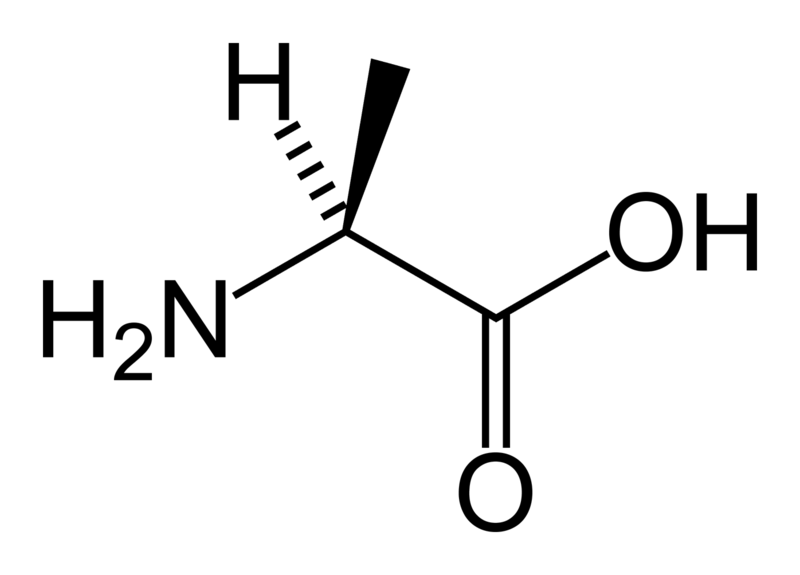 صورة:L-alanine-skeletal.png