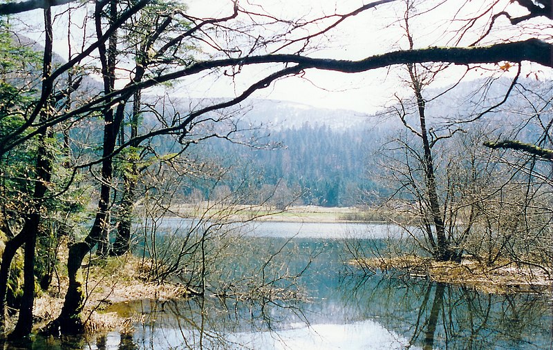 File:Lac de Longemer,en hiver.jpg