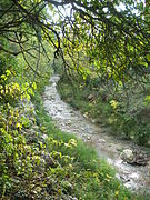 Ruisseau de la Combe, affluent de la Salette