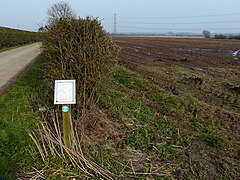 Lane and farmland near Bulcote - geograph.org.uk - 4868982.jpg