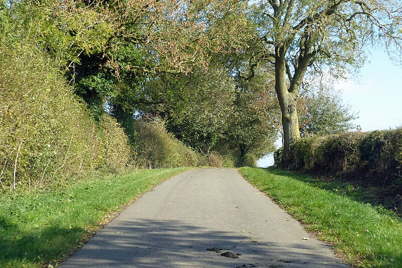 File:Lane from Eydon towards Preston Capes - geograph.org.uk - 5949025.jpg