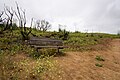 * Nomination: Wooden bench, Oakbrook Vista Trail. --King of Hearts 23:37, 22 July 2020 (UTC) * * Review needed