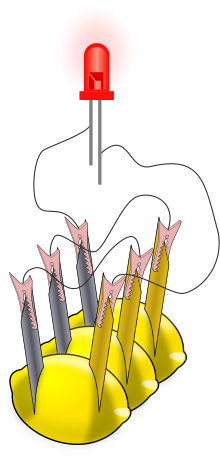 A drawing showing three lemons and a glowing red object (the LED). The LED has two lines coming out of its bottom to represent its electrical leads. Each lemon has two metal pieces stuck into it; the metals are colored differently. There are thin black lines, representing wires, connecting the metal pieces stuck into each lemon and the leads of the LED.