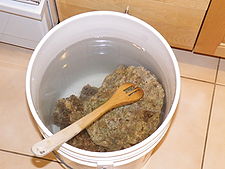 Live rock prior to installation into a reef tank Live rock prior to tank installation.JPG