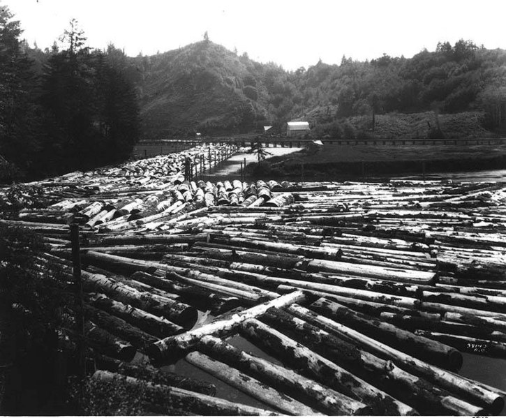 File:Logs in boom below mill at Toledo, Oregon, along line of U S Army Signal Corps, Spruce Production Division Railroad, June 20 (CURTIS 523).jpeg