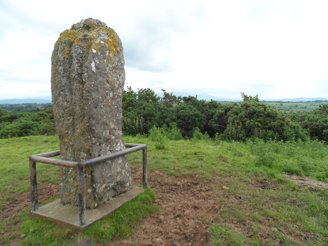 Cullen (Tipperary konderria)