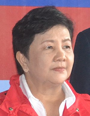 Luzviminda Ilagan - 2018 (cropped).jpg