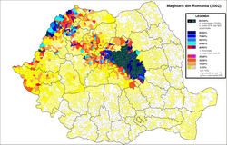 Унгарците в Румъния (2002)