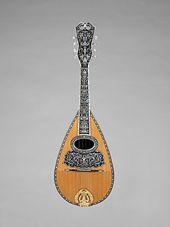 Mandolin Musical instrument in the lute family