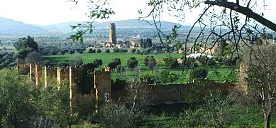 Paysage de Mansourah