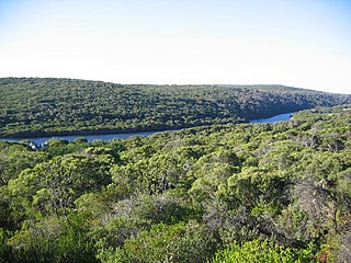 Margaret River river in south west of Western Australia