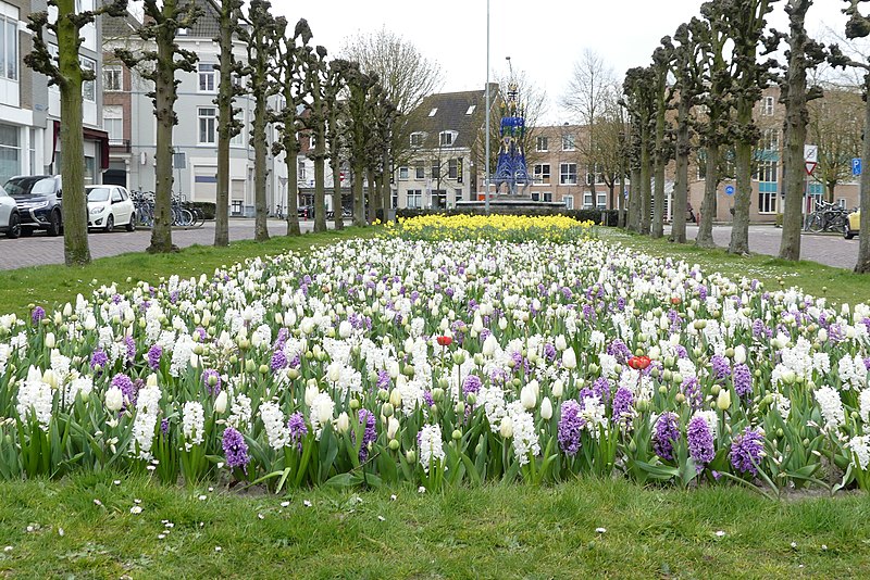 File:Mauritsstraat (Breda) P1460643.jpg