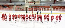 Thumbnail for 2010–11 McGill Martlets women's hockey season