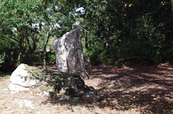 Illusztráció a Lande du Gras megalitikus helyének cikkéről