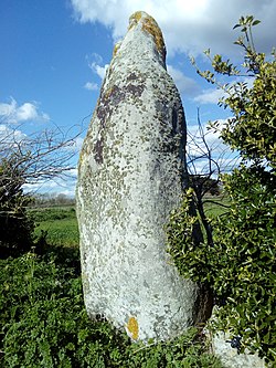 Image illustrative de l’article Menhir de Lanvenael