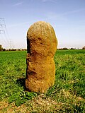 Vignette pour Menhir de Bürstadt