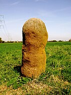 Der Menhir von Bürstadt