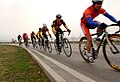 Military cyclists in pace line.jpg