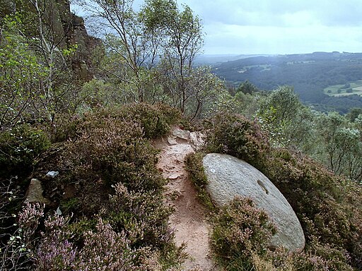 Millstone in the heather, below Millstone Edge - geograph.org.uk - 3134622