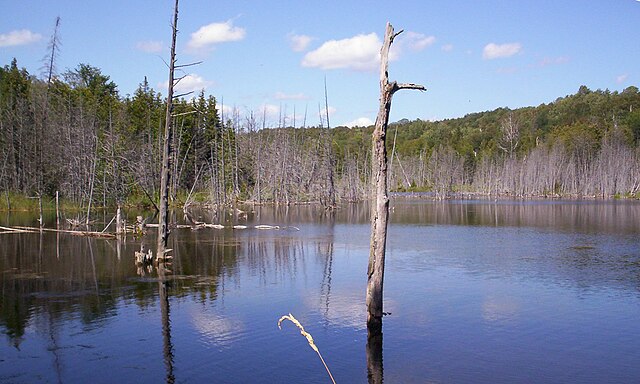 Mono Cliffs Provincial Park - Wikipedia