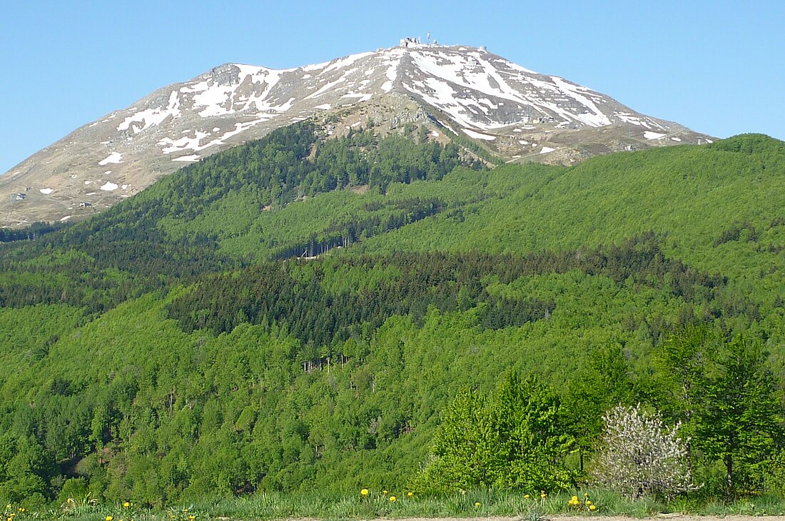 Apennine deciduous montane forests