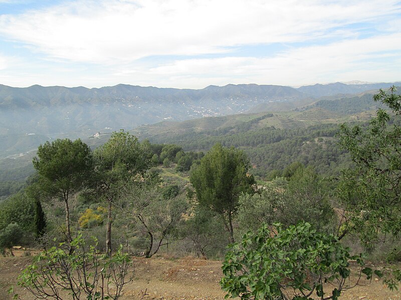 File:Montes de Málaga fog.jpg