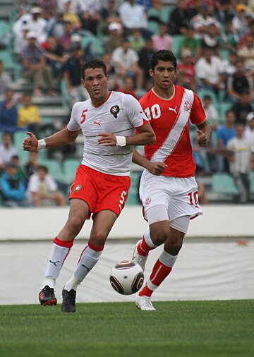 Équipe de Tunisie de football au Championnat d'Afrique des nations