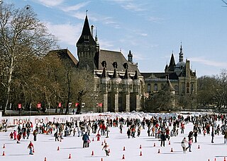 <span class="mw-page-title-main">2007 Women's Bandy World Championship</span>