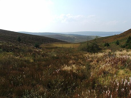 Mynydd Hiraethog