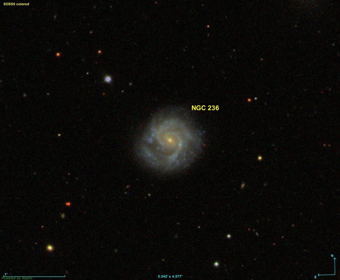 NGC 236