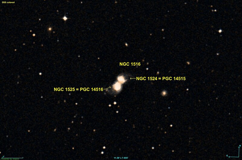 File:NGC 1516 DSS.jpg