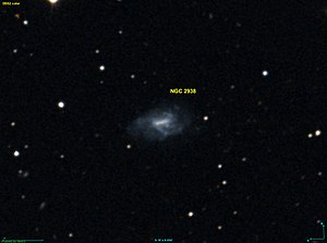 NGC 2938 DSS.jpg