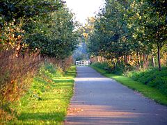 Uden-Zuid-Groen op zuid-cycle path