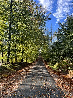 Lindigtstraße in Sebnitz