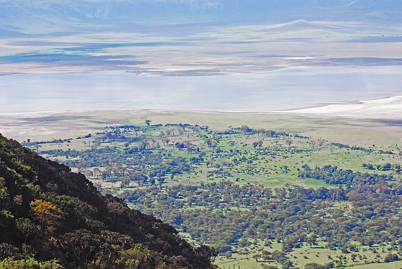 File:Ngorongoro 2012 05 30 2735 (7500959792).jpg