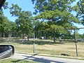 The picnic area along the north side of the entrance to the beach.