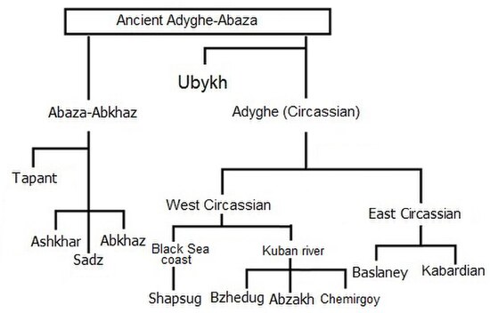 The isolated Northwest Caucasian language family