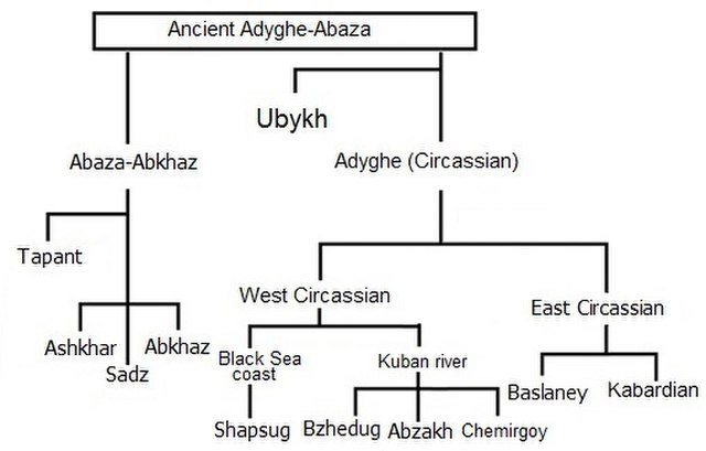 Northwest Caucasian family tree