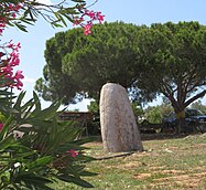 Menhir mit gut erkennbarem Relief