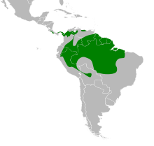 Mapa Odontophorus gujanensis.svg