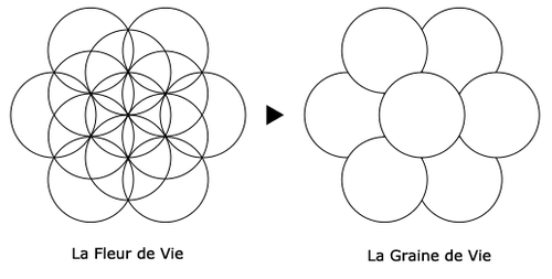 conversation avec Dieu - Dieu et la science - Page 33 500px-Oeuf-de-Vie