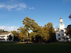 Tua Shirley Common.jpg