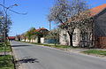 Čeština: Hlavní silnice v Opolanech English: Main street in Opolany, Czech Republic.