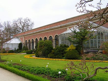 Ботан сад. Ботанический сад Пизы. Оранжери (Orangerie). Ботанический сад Пизы Пиза. Бельгийский Ботанический сад 1912.