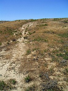 Ruts from the Oregon Trail in the bombing range. Oregon Trail ruts - Boardman Bombing Range Oregon.jpg