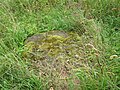 English: Cemetery in Osławica Polski: Cmentarz w Osławnicy