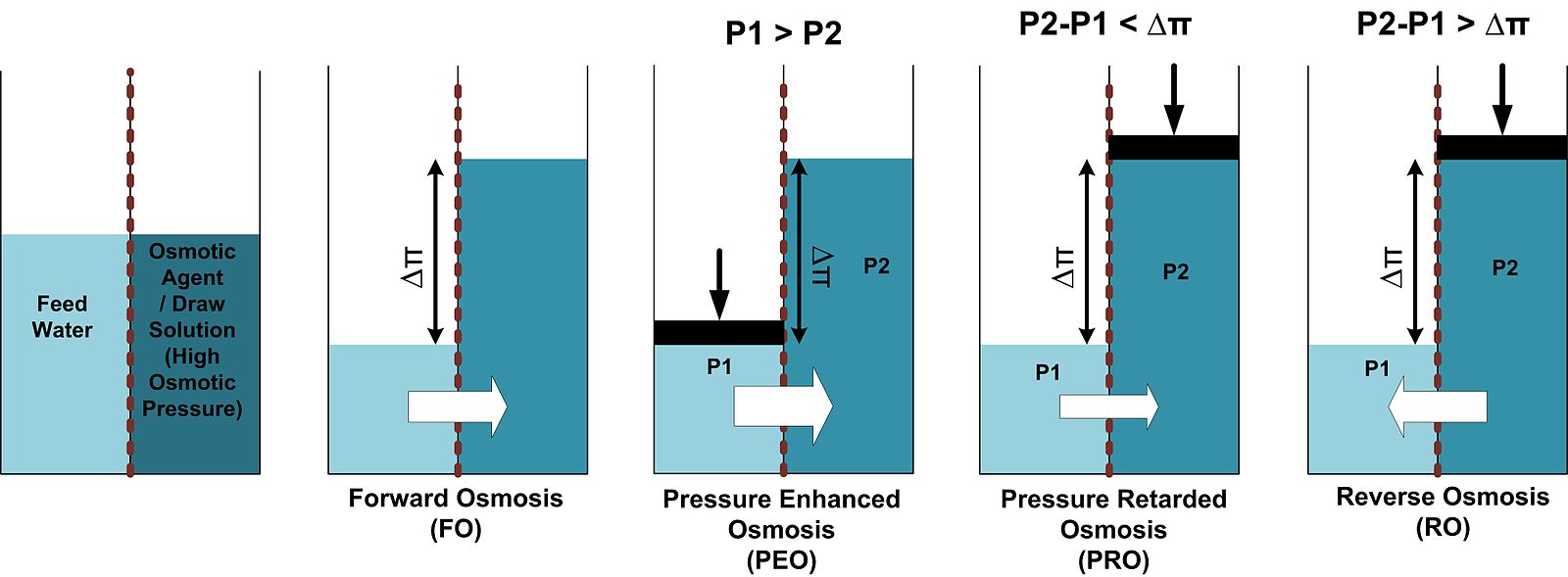 Forward Osmosis