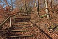 English: Winterly forest trail Deutsch: Winterlicher Wanderweg