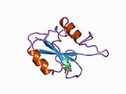 PDB 1bm2 EBI.jpg